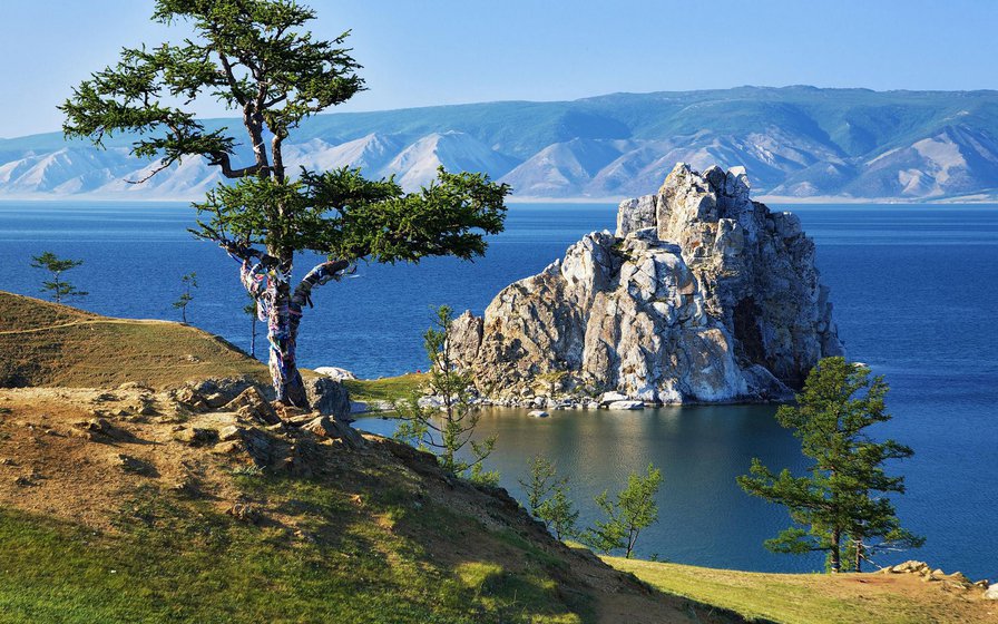 Дерево желаний на мысе Бурхан острова Ольхон на Байкале﻿